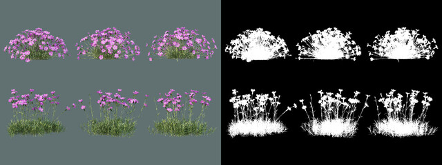 A wide variety of trees and flowers of various sizes.
