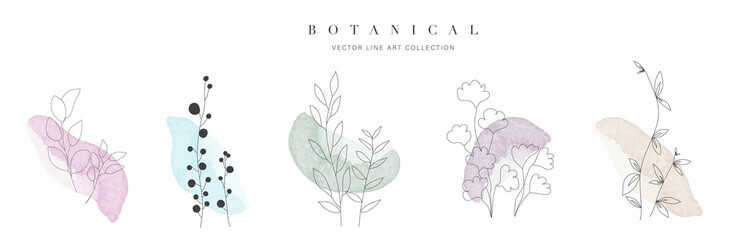 Botanical arts. Hand drawn line drawing of abstract floral and leaves with watercolor background vector. - obrazy, fototapety, plakaty