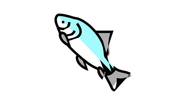catla catla fish animated color icon. catla catla fish sign. isolated on white background