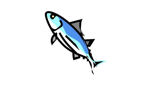 skipjack tuna animated color icon. skipjack tuna sign. isolated on white background