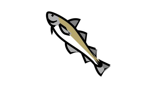 alaska pollock animated color icon. alaska pollock sign. isolated on white background