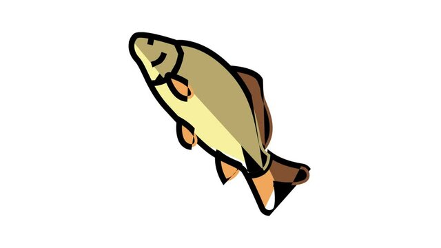 common carp animated color icon. common carp sign. isolated on white background