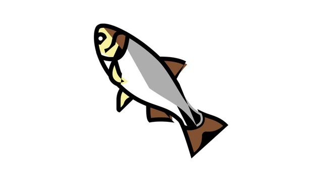 silver carp animated color icon. silver carp sign. isolated on white background