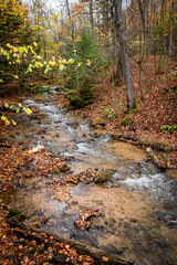 A small stream flows through an Autumn-coloured forest surrounded by fallen red, orange, and yellow leaves near Blue Mountains, Ontario.