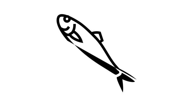 atlantic herring animated line icon. atlantic herring sign. isolated on white background