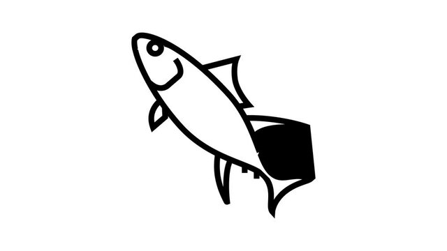yellowfin tuna animated line icon. yellowfin tuna sign. isolated on white background