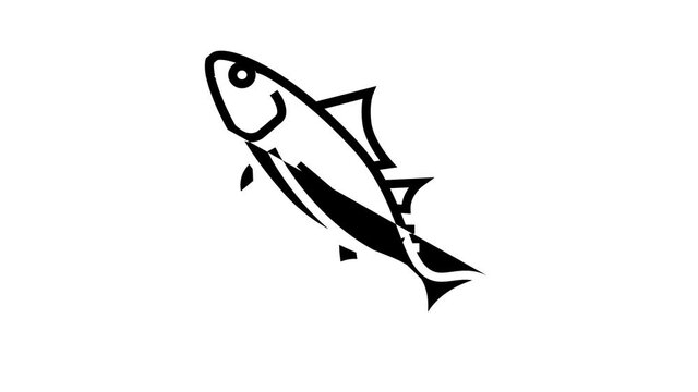 skipjack tuna animated line icon. skipjack tuna sign. isolated on white background