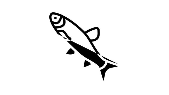 grass carp animated line icon. grass carp sign. isolated on white background