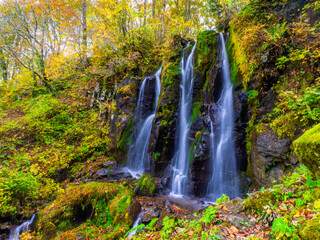Fototapeta na wymiar Waterfall with autumn leaves (Zao, Yamagata, Japan)