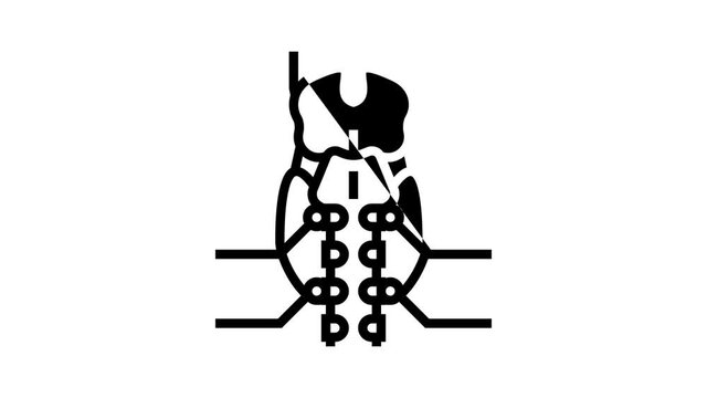 parathyroid gland endocrinology animated line icon. parathyroid gland endocrinology sign. isolated on white background
