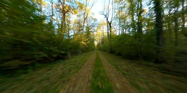 FPV FORET 1