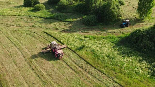 Aerial view: self-propelled mower-flattener rides through a green meadow among bushes. Agricultural machine is accompanied by a stork bird. Aerial view