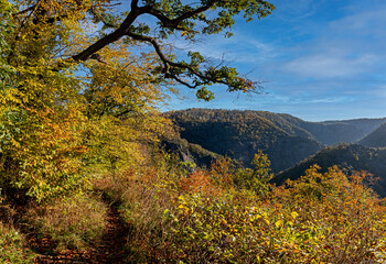 Bodetal Aussichtspunkt Herbst im Harz