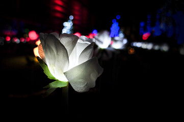 An artificial rose with inner light. Bokeh effect background