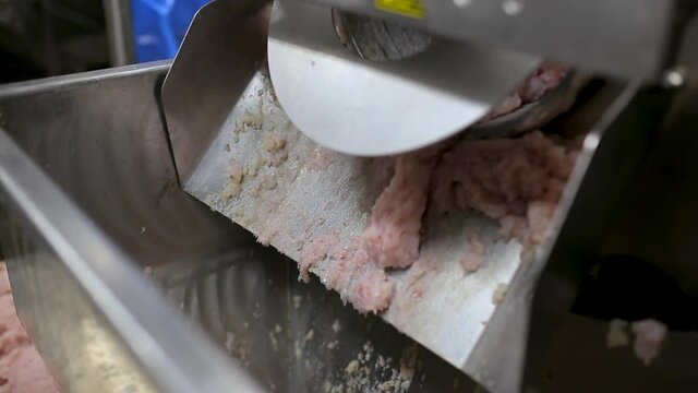 Working factory. Fish fillet production. The minced fish is poured out of the large meat grinder.