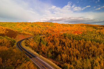 Aerial view of bright fall foliage along scenic by way route 39 in northern Utah at Monte Cristo