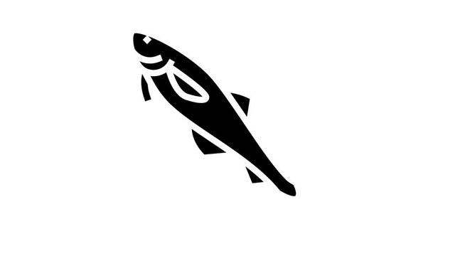 alaska pollock animated glyph icon. alaska pollock sign. isolated on white background