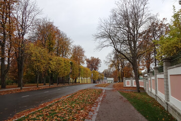 Empty road during the day autumn season in public city park Kadriorg. Pink fence wall on the right. Many dry leaves on the grass. Golden color foliage. October 2021. Tallinn, Estonia
