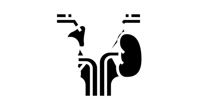 adrenals endocrinology animated glyph icon. adrenals endocrinology sign. isolated on white background