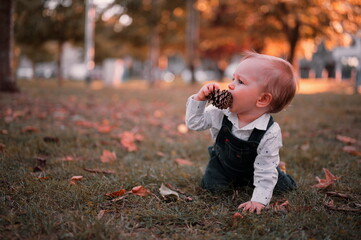 Cute little baby kneels on the grass in a park