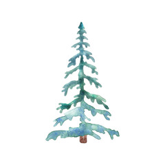 Watercolor blue fir tree