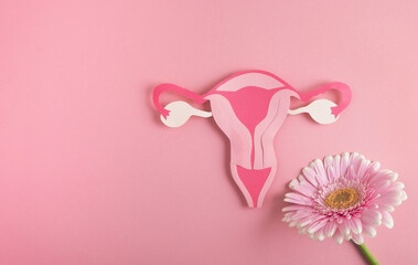 Women's health, reproductive system concept. Decorative model uterus and flower on pink background. Top view, copy space