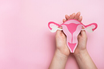 Women's health, gynecology and reproductive system concept. Woman hands holding decorative model uterus on pink background. Top view, copy space