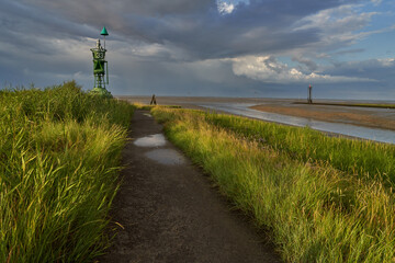 footpath through the salt marshes at the German North Sea coast in Fedderwardersiel - a green...
