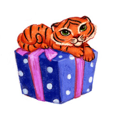 Cute little tiger lying on the present