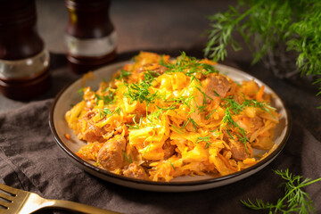 Braised cabbage. Stewed cabbage or bigos with turkey meat in a ceramic plate on a dark background. Traditional Polish dish