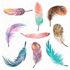 Colorful feather element vector set - obrazy, fototapety, plakaty