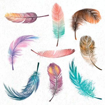 Colorful feather element vector set