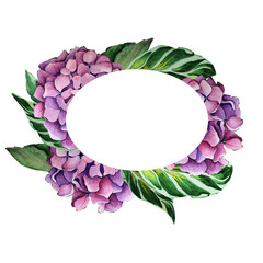 Hydrangea wreath watercolor isolated for gift card and design. Pink hortensia