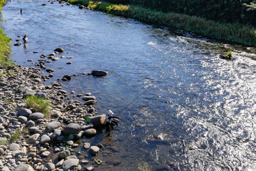 静岡県伊豆市　狩野川の鮎釣り