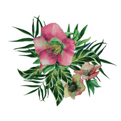 Watercolor bouquet isolated. Pink flowers anemones and tropical leaves