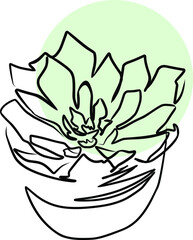 Vector illustration of home plant.  Line art
