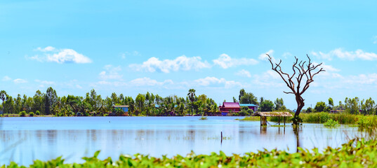 A flooded rice field in Suphan Buri province, Thailand, on a sky day and clear weather