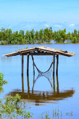 A flooded rice field in Suphan Buri province, Thailand, on a sky day and clear weather