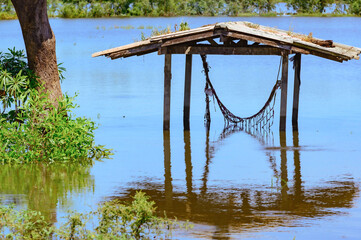 A flooded rice field in Suphan Buri province, Thailand, on a sky day and clear weather