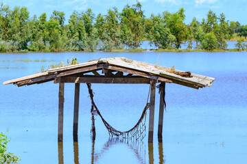 A flooded rice field in Suphan Buri province, Thailand, on a sky day and clear weather