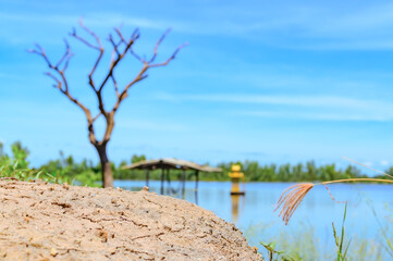A flooded rice field in Suphan Buri province, Thailand, on a sky day and clear weather