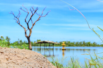 A flooded rice field in Suphan Buri province, Thailand, on a sky day and clear weather