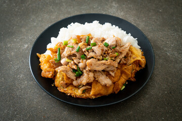 stir-fried pork with garlic and egg topped on rice