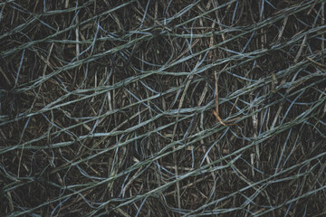 close up of a net around ols hay roll. Dry grass and plastic pattern