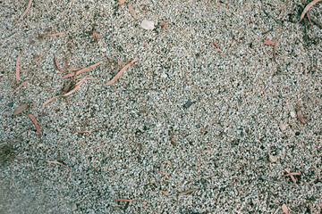 stony footpath in a park outdoors in Adelaide, South Australia