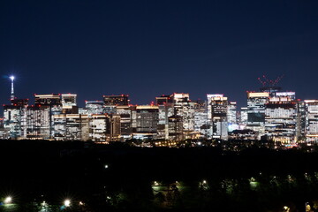 Obraz premium Tokyo, Castle, Imperial Palace, Woodland, Skyscrapers, Otemachi, Night