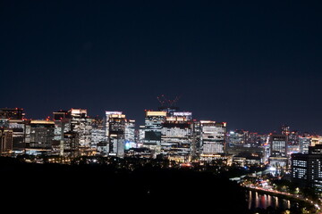 Fototapeta premium Tokyo, Castle, Imperial Palace, Woodland, Skyscrapers, Otemachim, Night