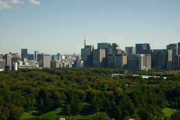 Tokyo, Castle, Imperial Palace, Woodland, Skyscrapers, Otemachi