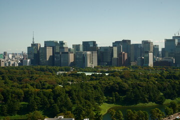 Fototapeta premium Tokyo, Castle, Imperial Palace, Woodland, Skyscrapers, Otemachi