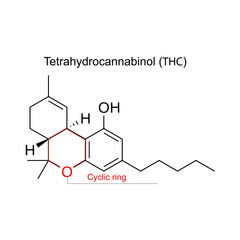 Structure of tetrahydrocannabinol (THC) isolated on white background. Tetrahydrocannabinol (THC)  is a cannabinoid, a type of non-psychoactive compound found in cannabis. 